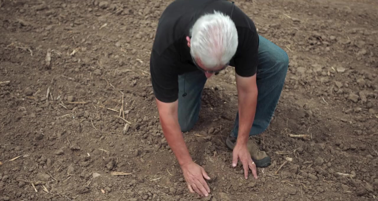 Kiss the Ground screenshot 3