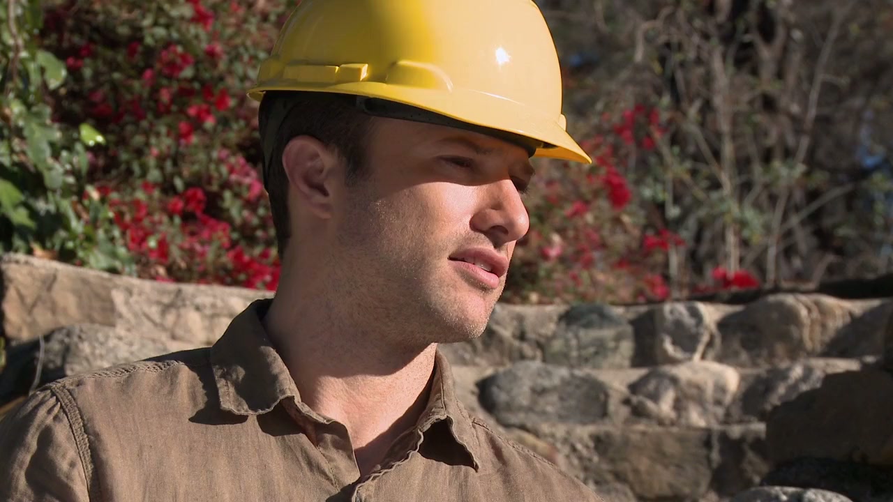 Kiss of a Rose screenshot 3