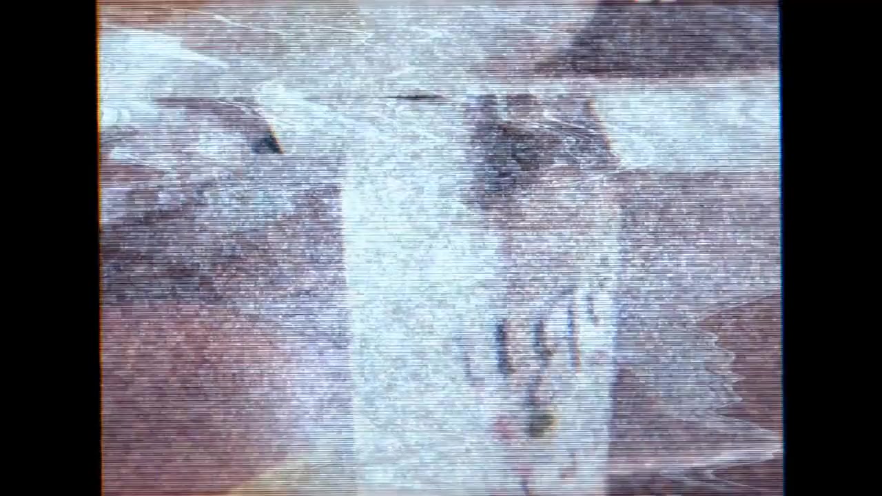 Klown Kamp Massacre screenshot 1