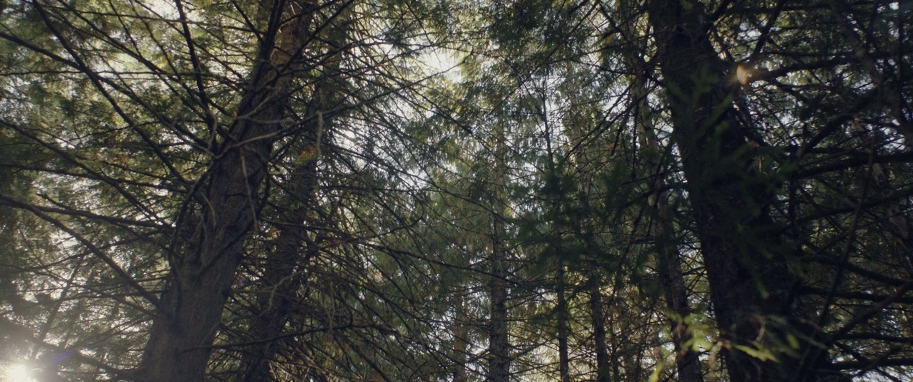 Kryptic screenshot 1
