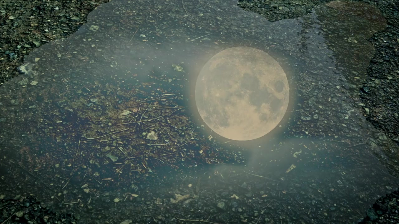 Kral Sakir: Devler Uyandi screenshot 2