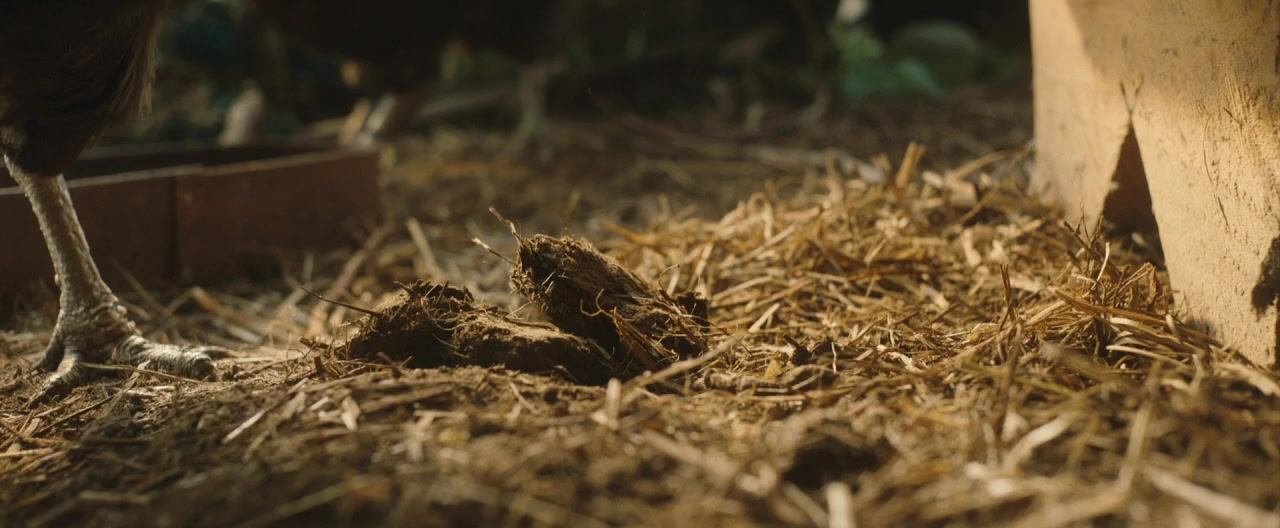 Kratt screenshot 2