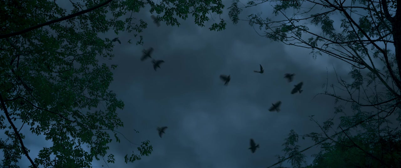 Kromoleo screenshot 1