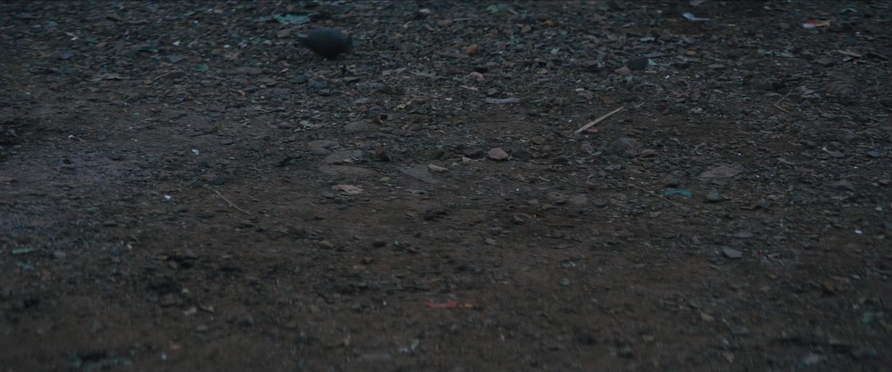 Kuttey screenshot 1
