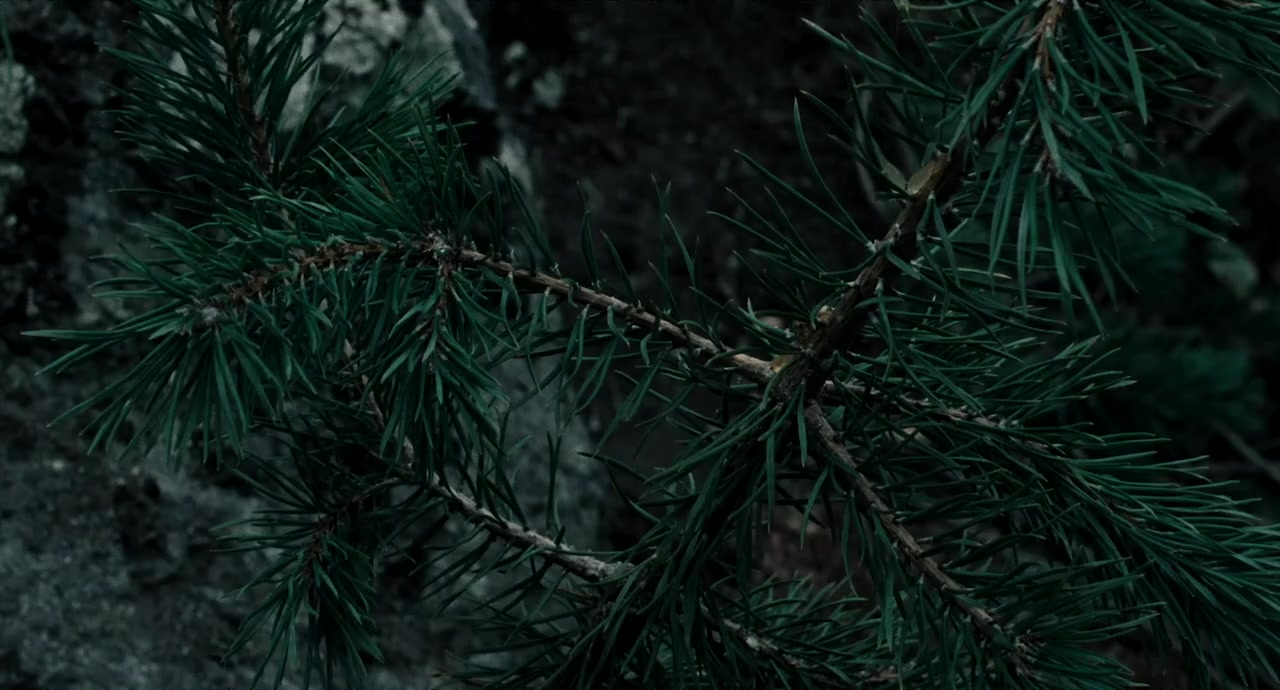 Kukushka screenshot 2
