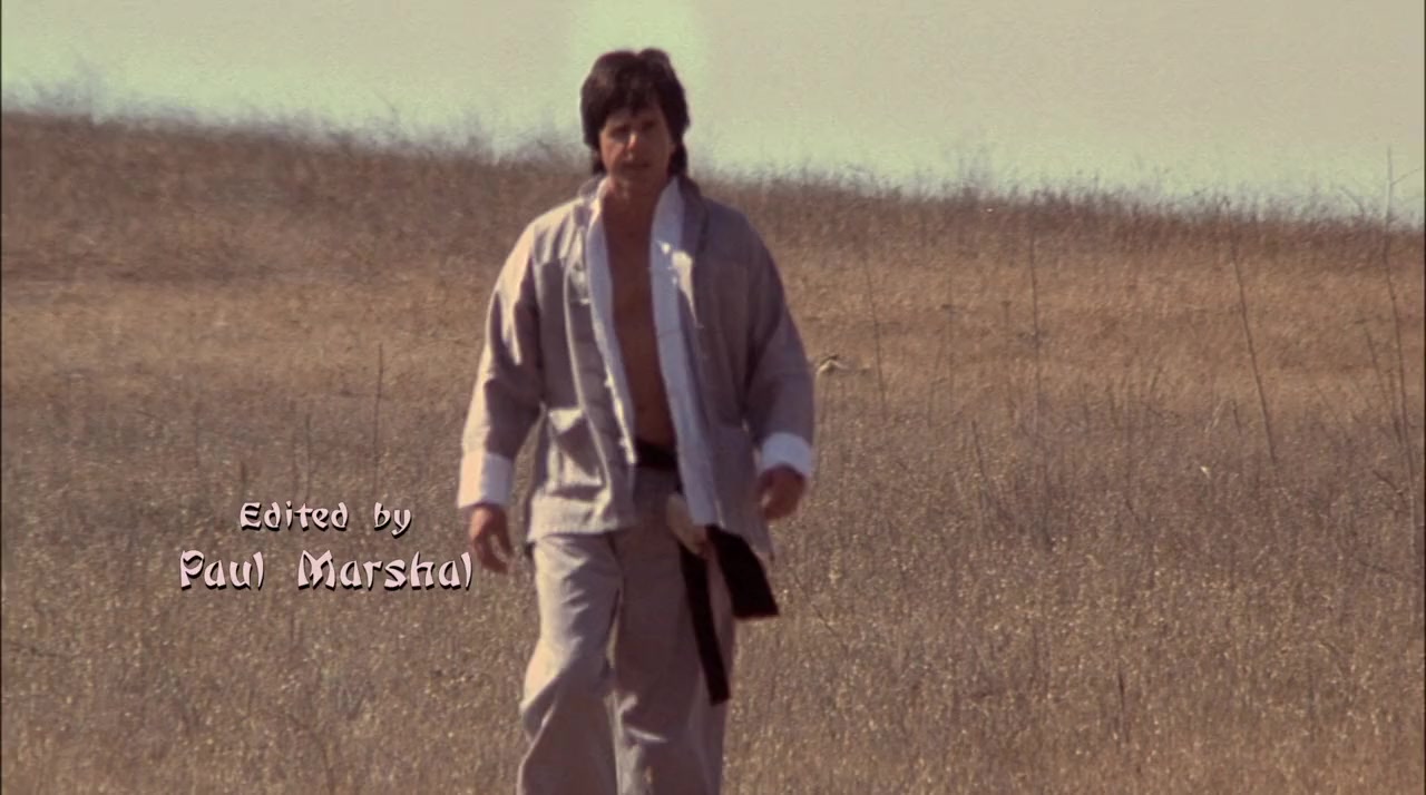 Kung Pow: Enter the Fist screenshot 2