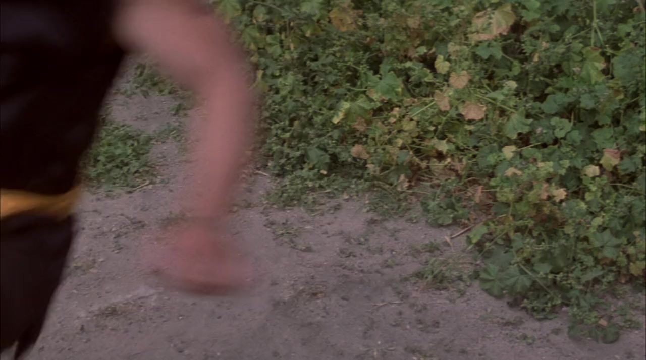 Kung Pow: Enter the Fist screenshot 3