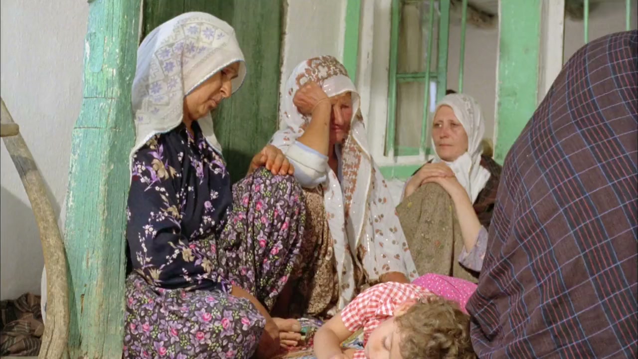 Kurbagalar screenshot 1