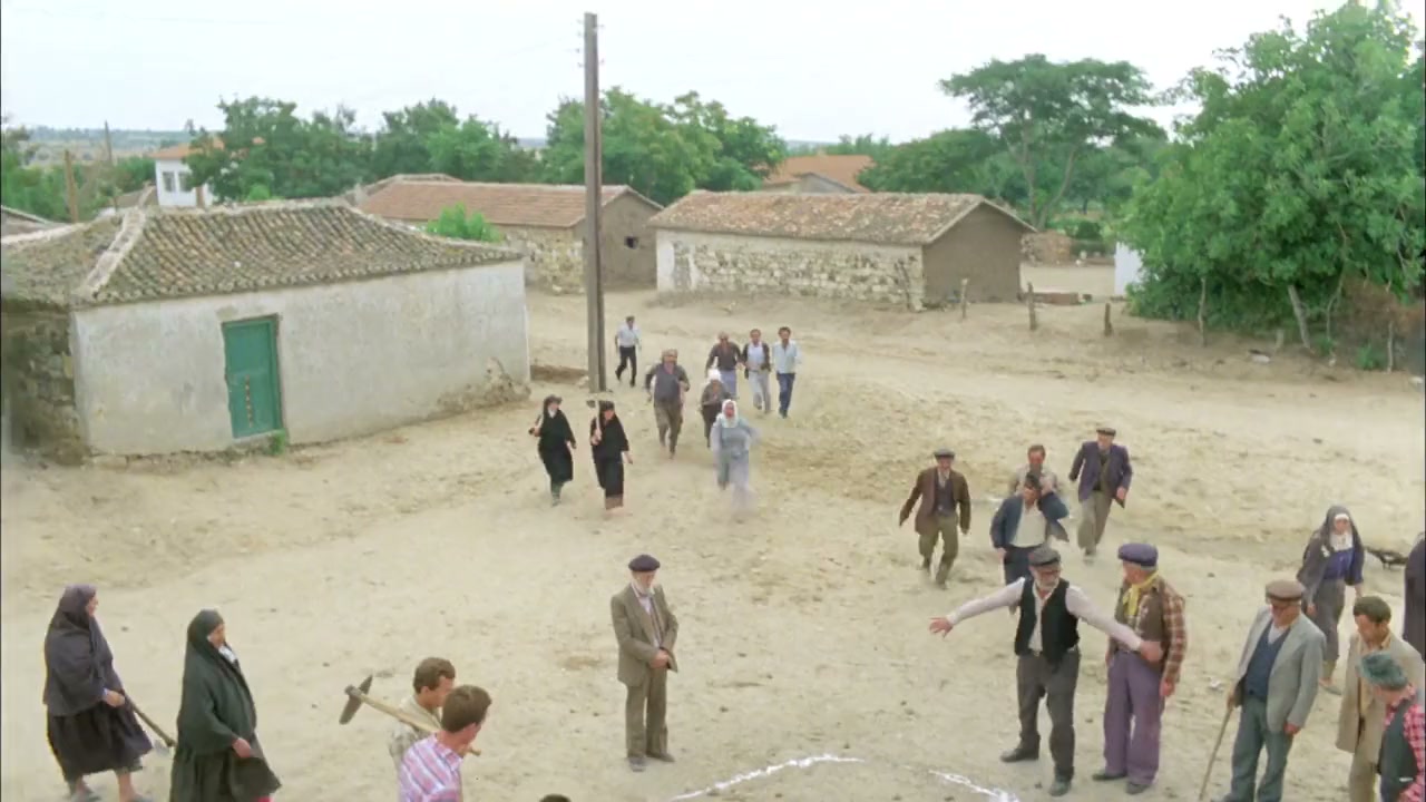 Kurbagalar screenshot 3