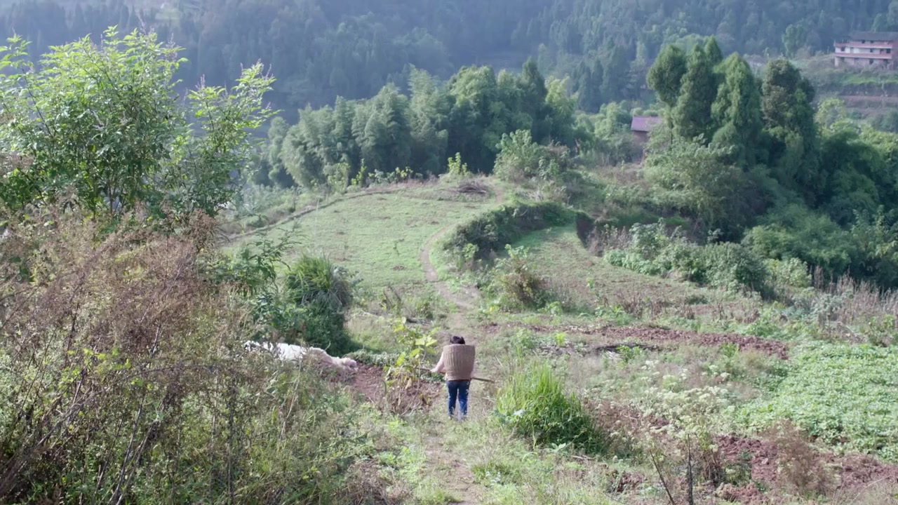 H6 screenshot 1