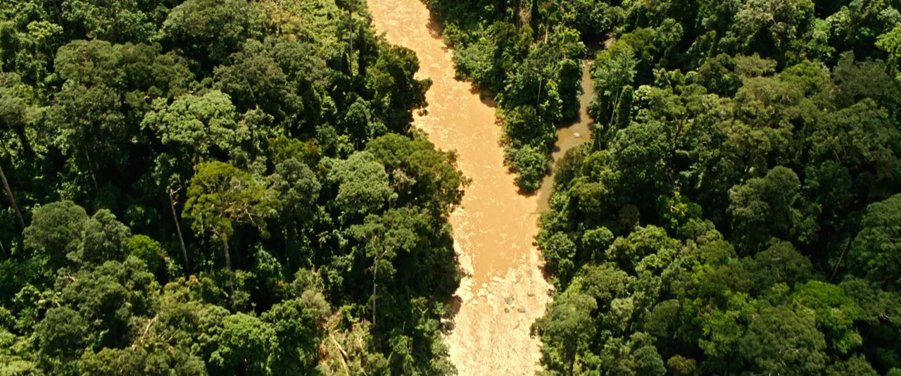 Sur la piste du Marsupilami screenshot 3