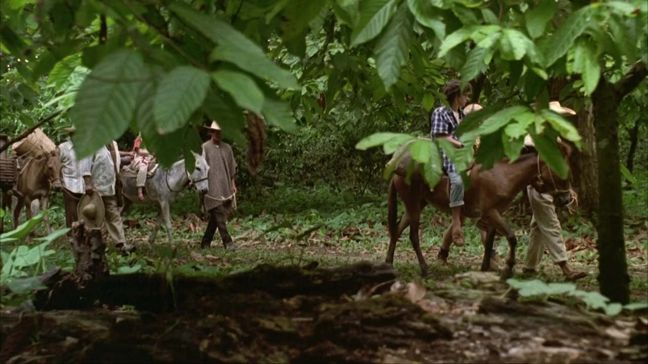 House of Cards screenshot 3