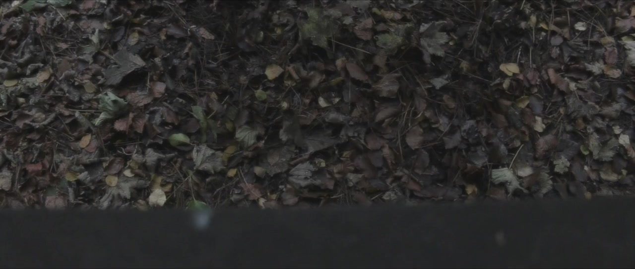 House of Afflictions screenshot 1