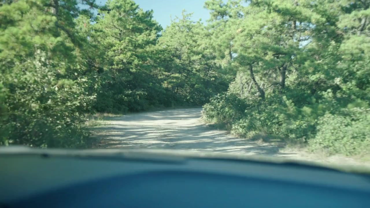 House of Grucci screenshot 2