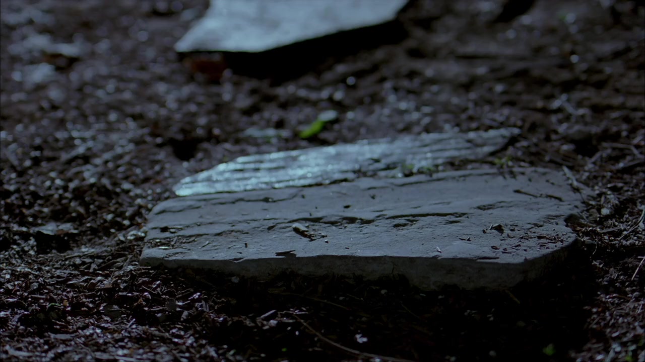 House of Fears screenshot 3
