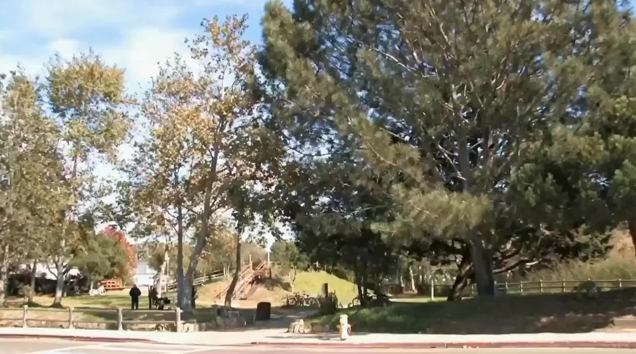 Houseless screenshot 1