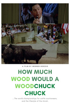 How much Wood would a Woodchuck chuck... - Beobachtungen zu einer neuen Sprache (1976) poster