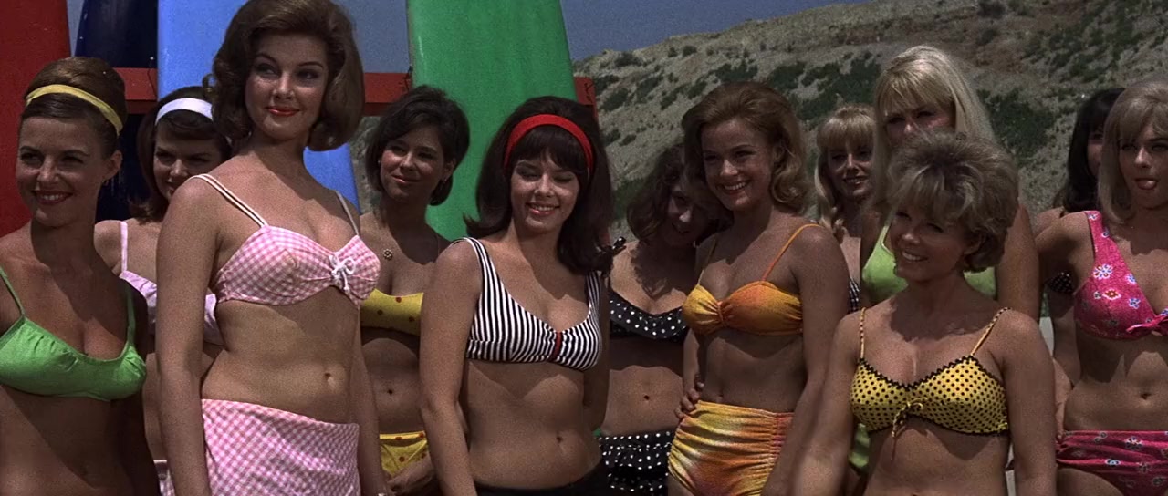 How to Stuff a Wild Bikini screenshot 3