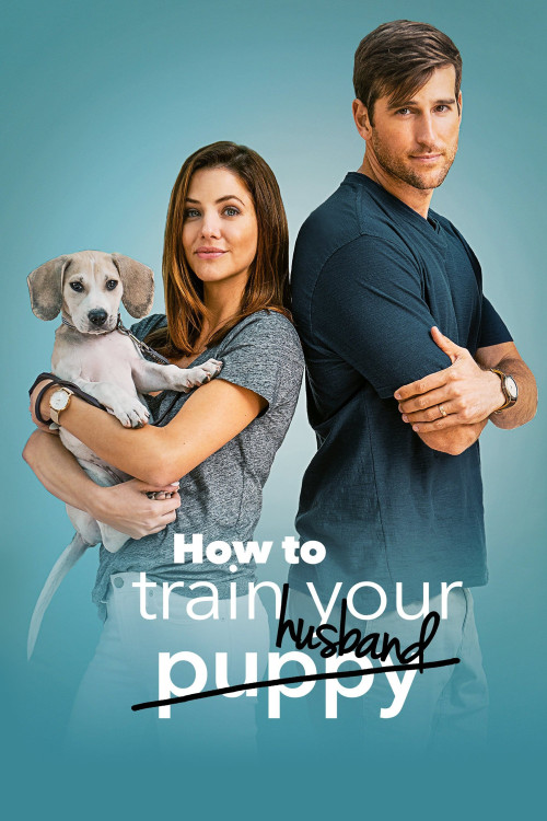 How to Train Your Husband (2018) poster