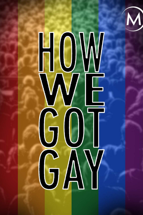 How We Got Gay (2013) poster