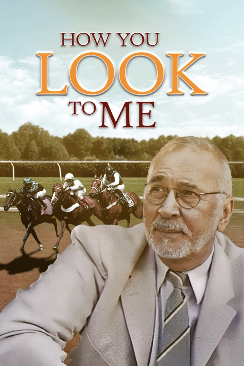 How You Look to Me (2005) poster