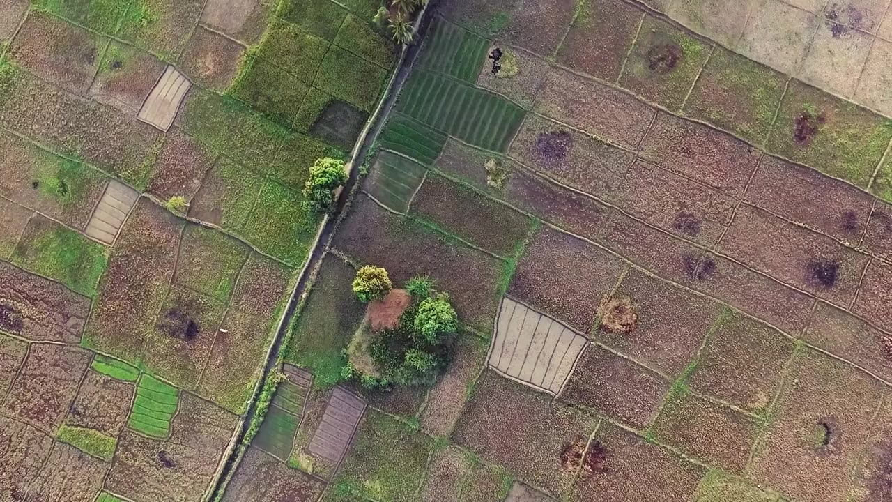 How (Not) to Build a School in Haiti screenshot 1