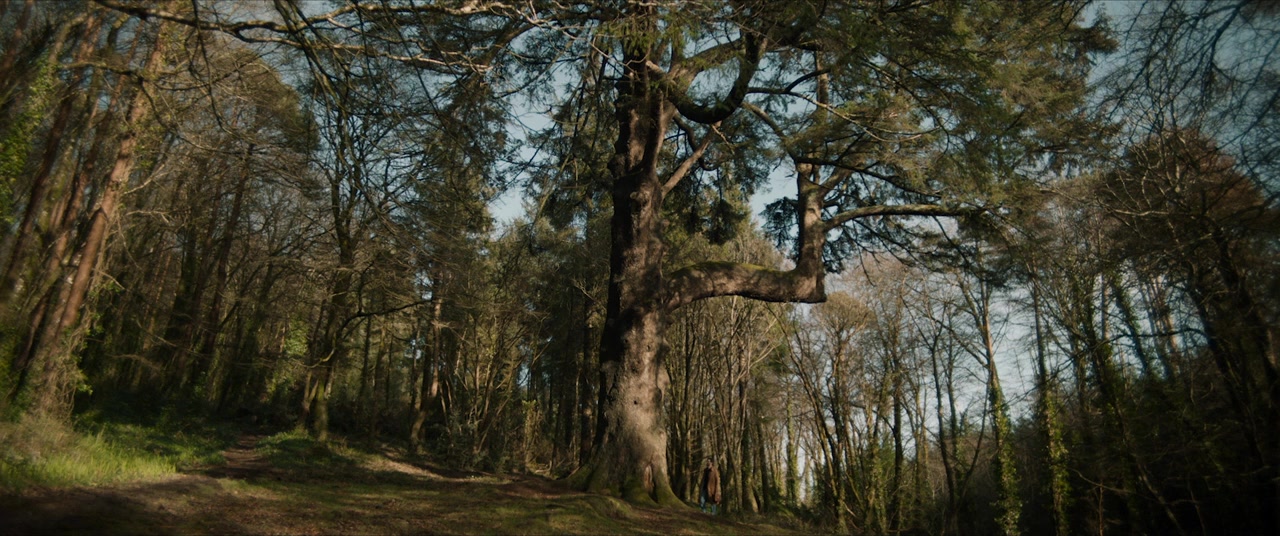 Hokum screenshot 1