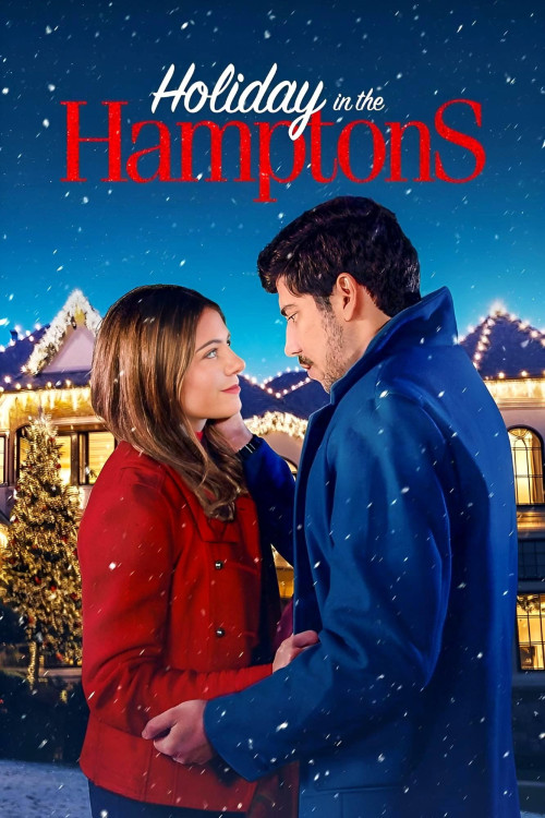 Holiday in the Hamptons (2024) poster