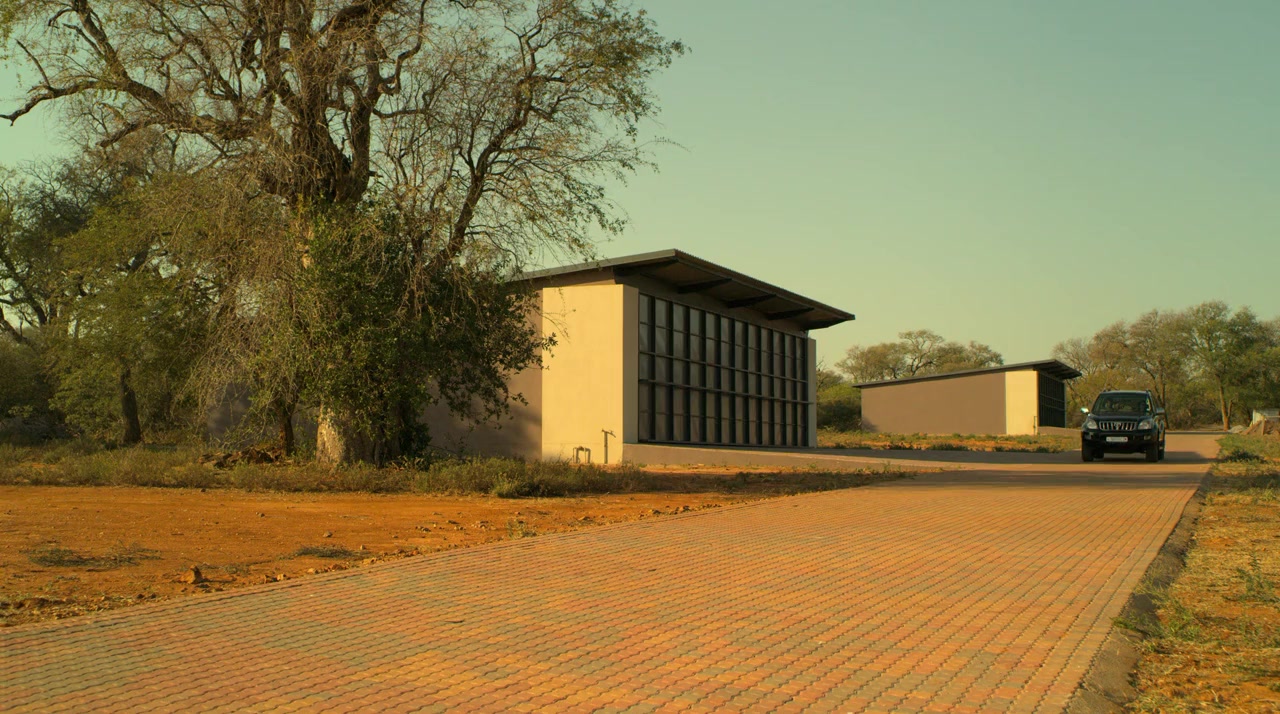 Holiday in the Wild screenshot 1