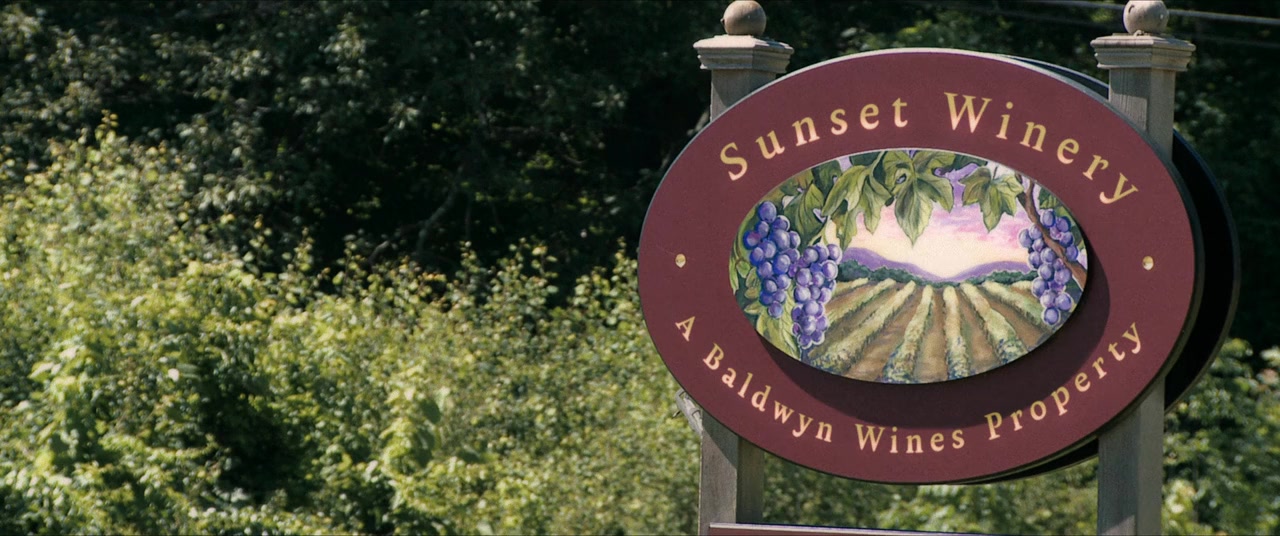 Holiday in the Vineyards screenshot 1