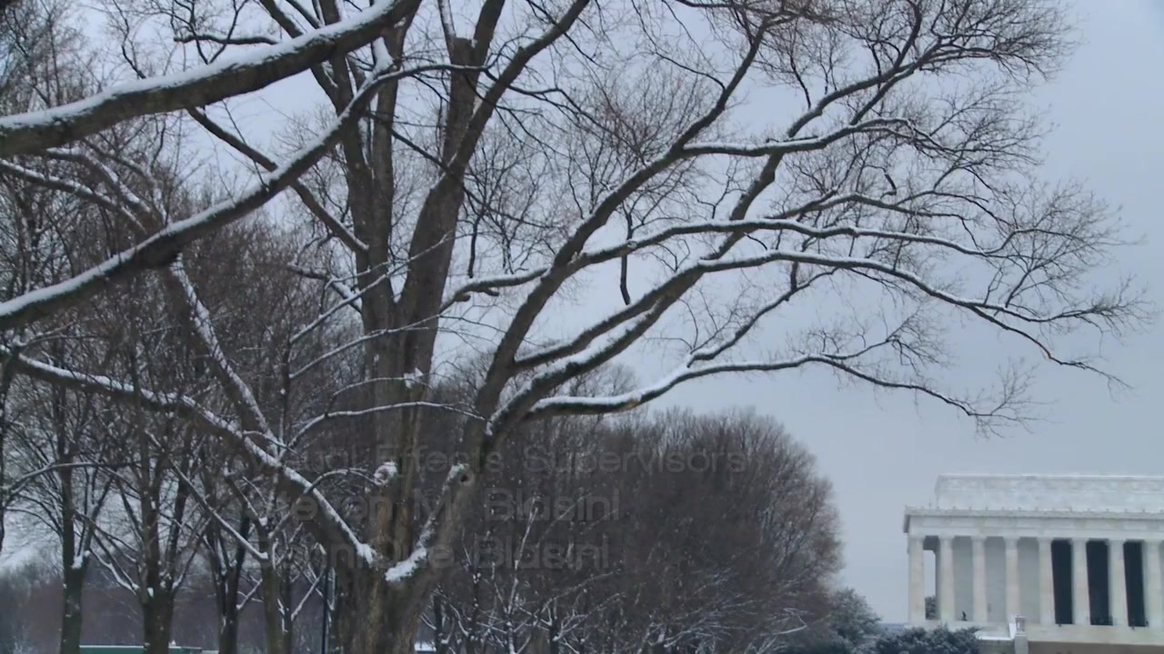 Holiday Road Trip screenshot 1