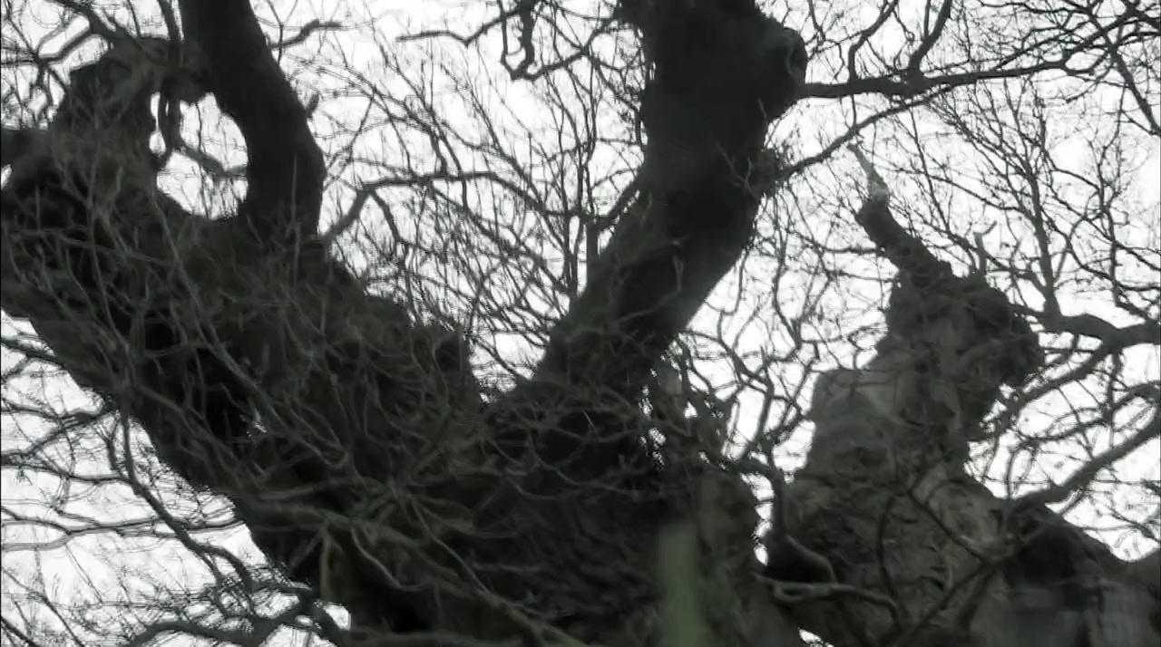 Hollow screenshot 1