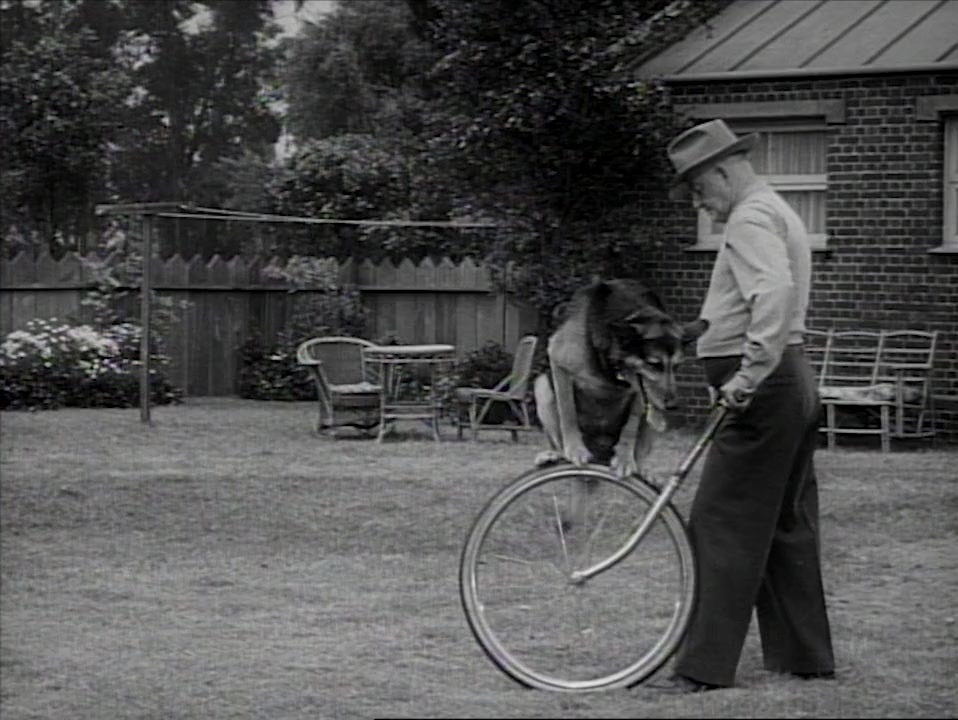 Hollywood Scout screenshot 2