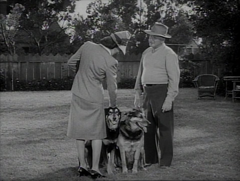 Hollywood Scout screenshot 3