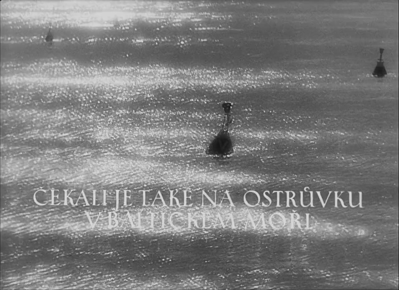 Holubice screenshot 2