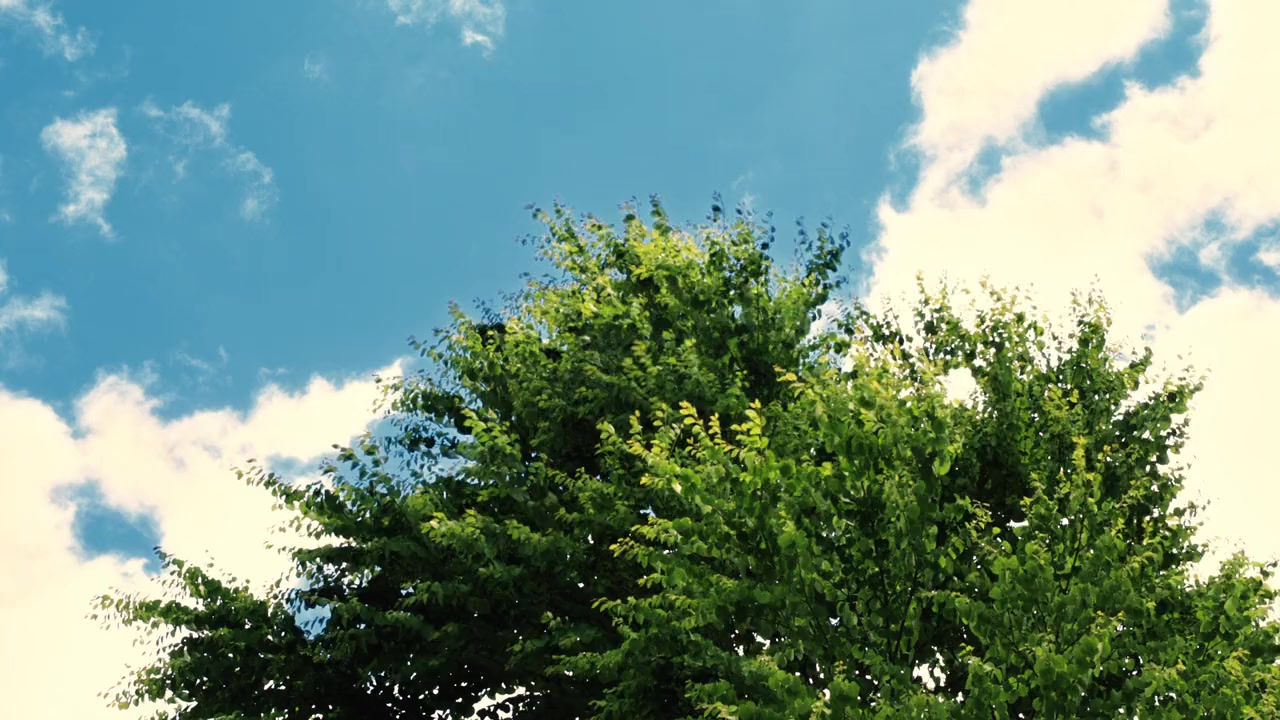 Home: Itoshi no Zashiki Warashi screenshot 3