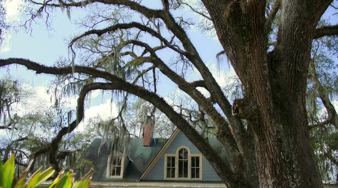 Home by Spring screenshot 2