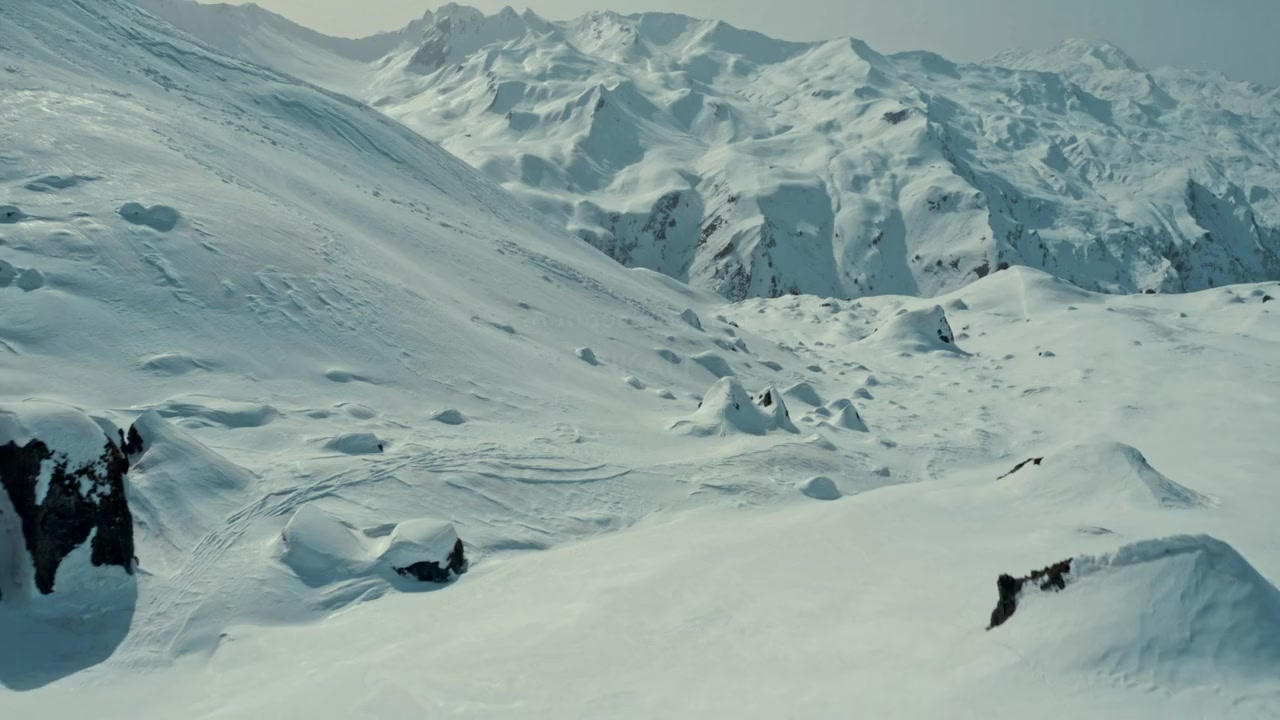 Home Lines screenshot 3