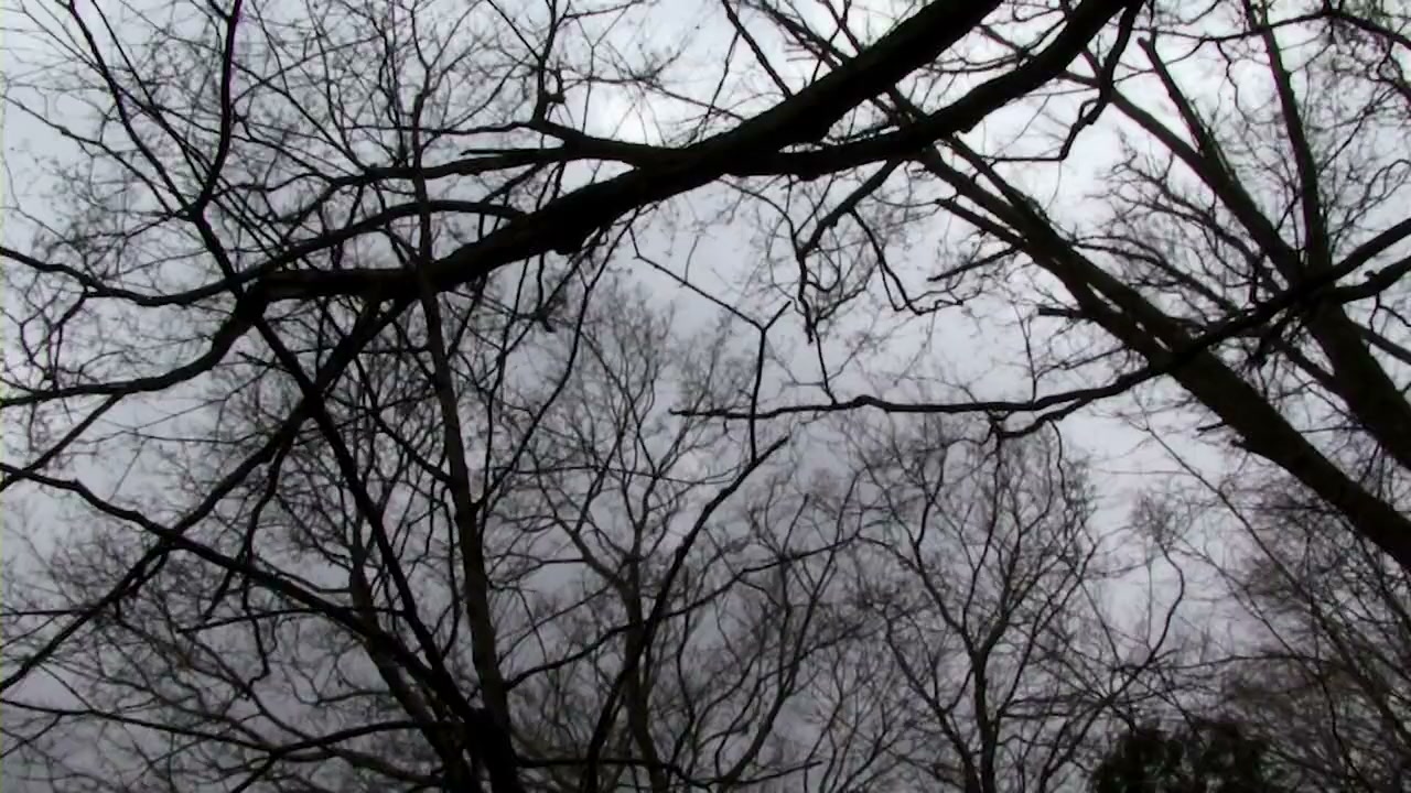 Home Movie screenshot 3