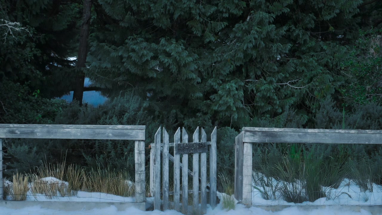 Home Sweet Christmas screenshot 1