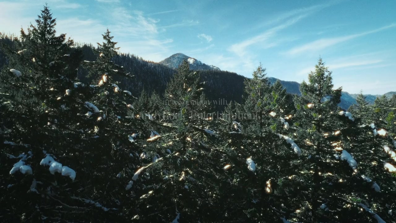 Home Sweet Christmas screenshot 2