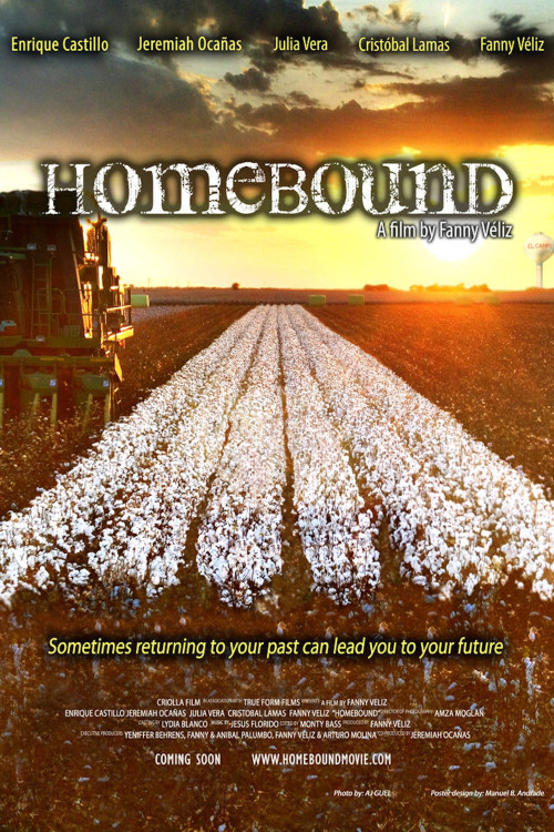 Homebound (2013) poster