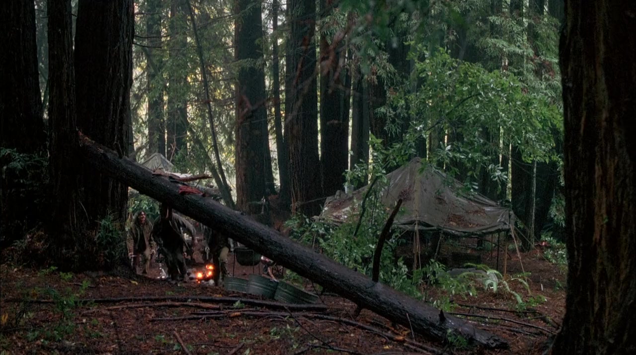 Homegrown screenshot 2