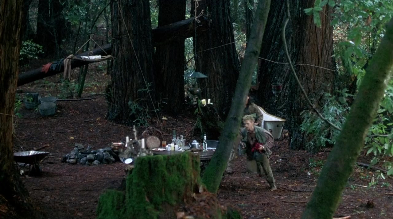 Homegrown screenshot 3
