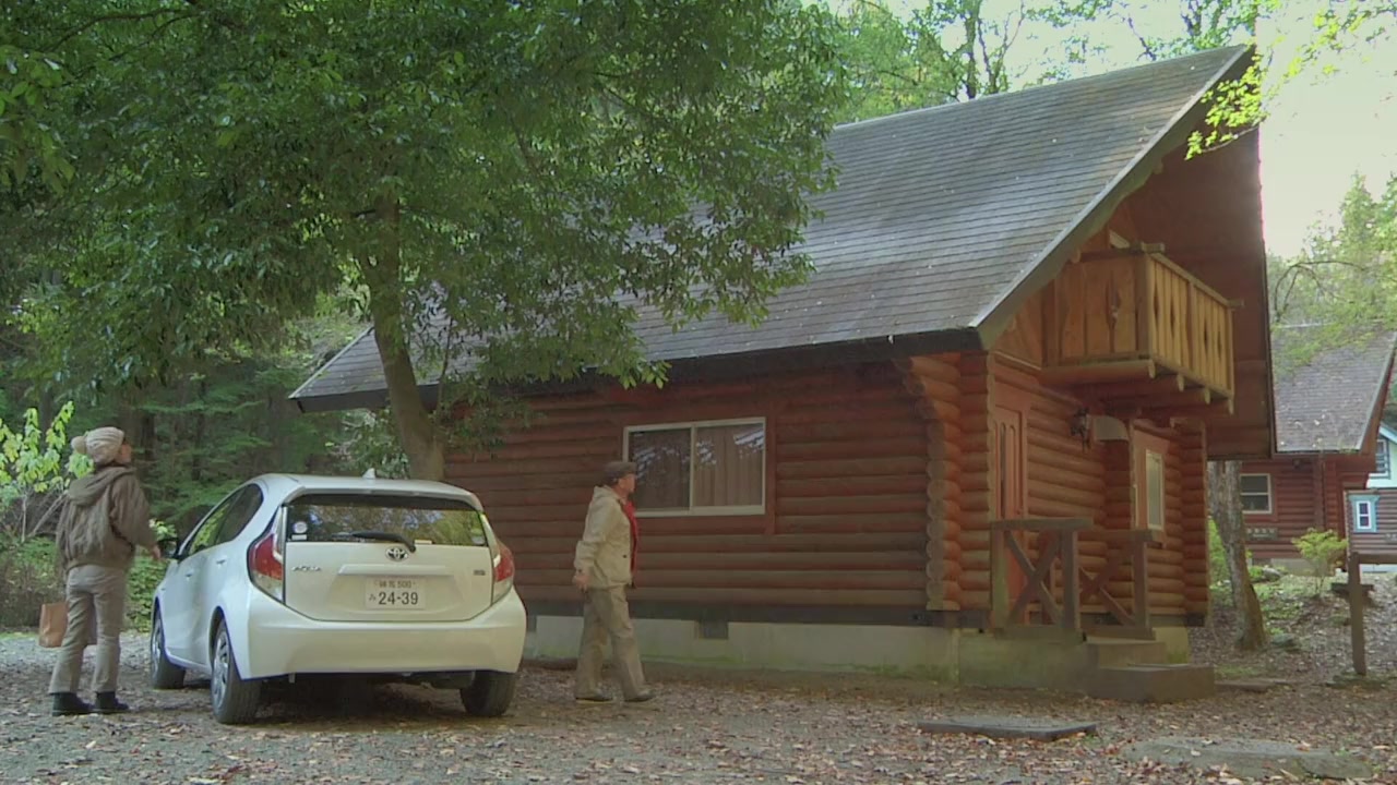 Homejack Reverse screenshot 2