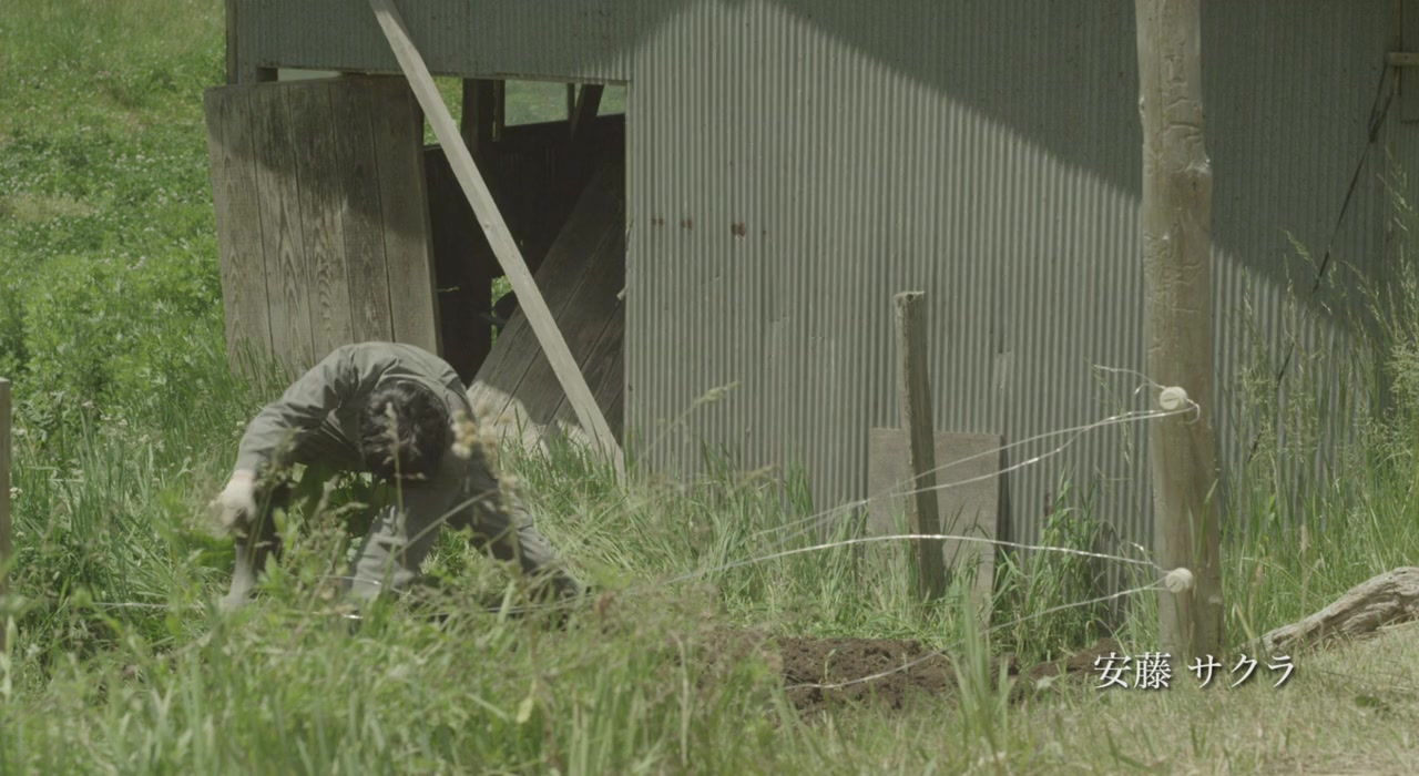 Ieji screenshot 2
