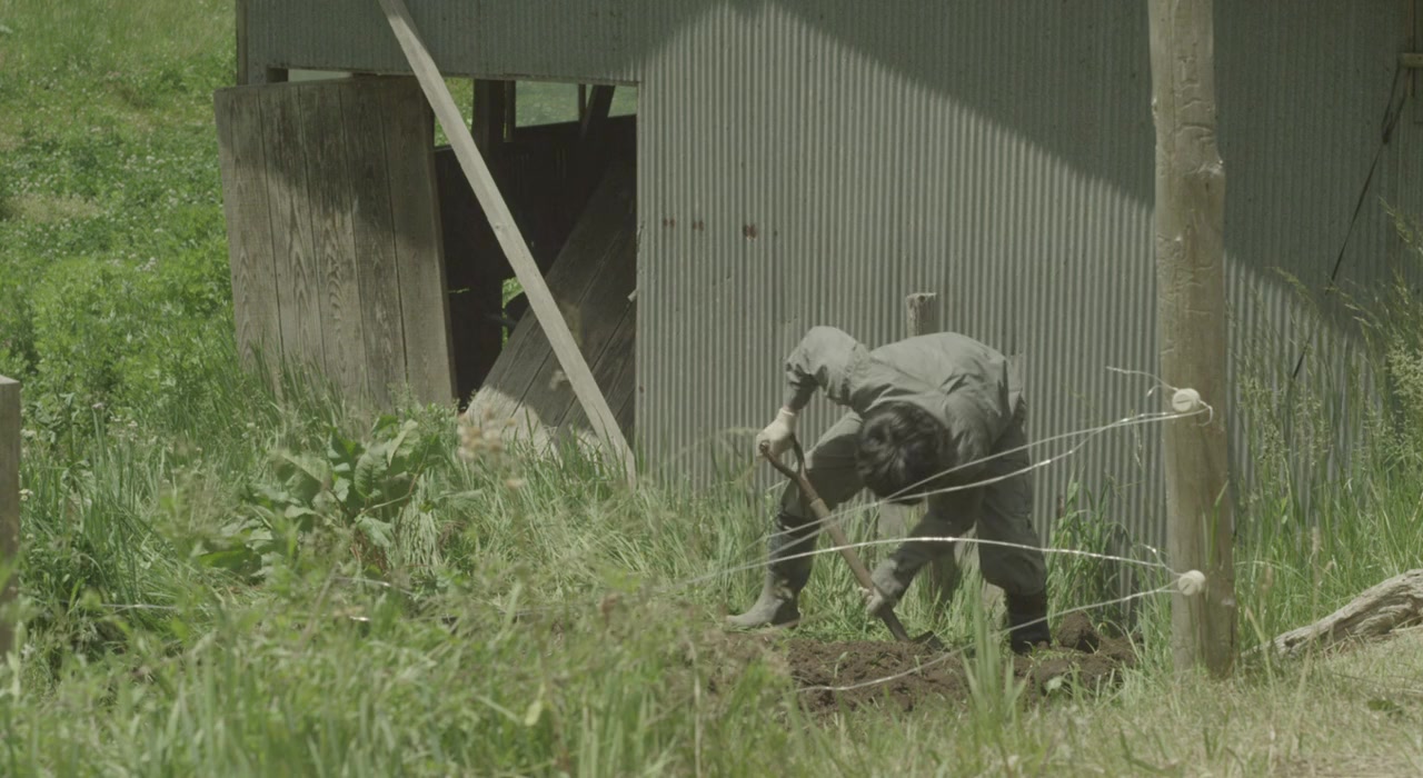 Ieji screenshot 3