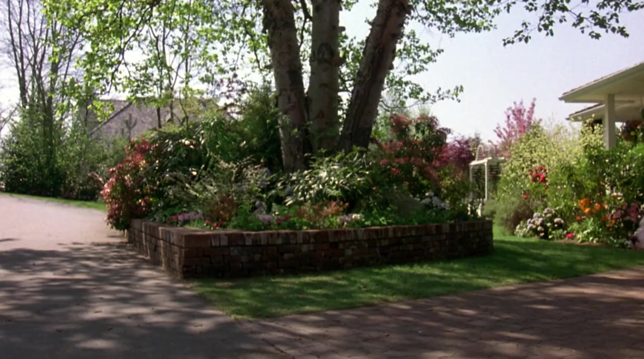 Homeward Bound II: Lost in San Francisco screenshot 2