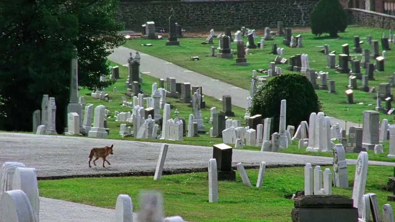 Homicide: The Movie screenshot 2