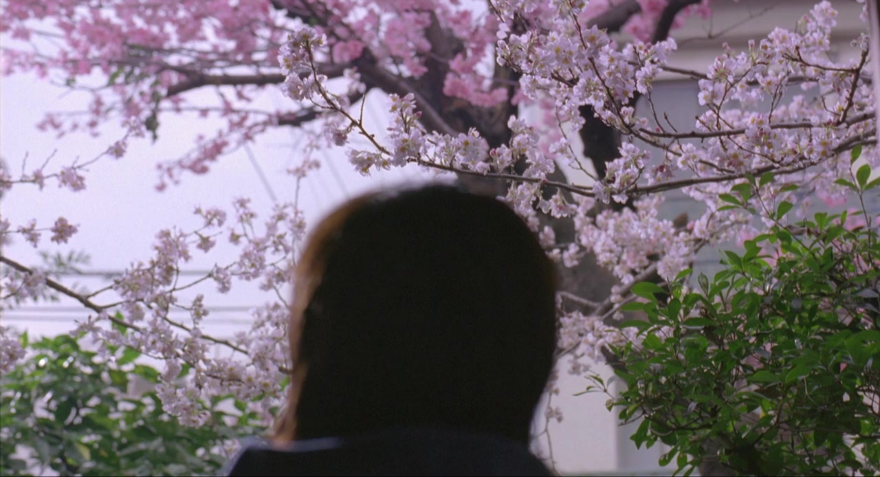 Hachimitsu to kurôbâ screenshot 1